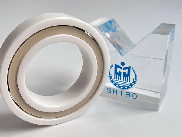 7900 Series Angular Contact Ball Bearings